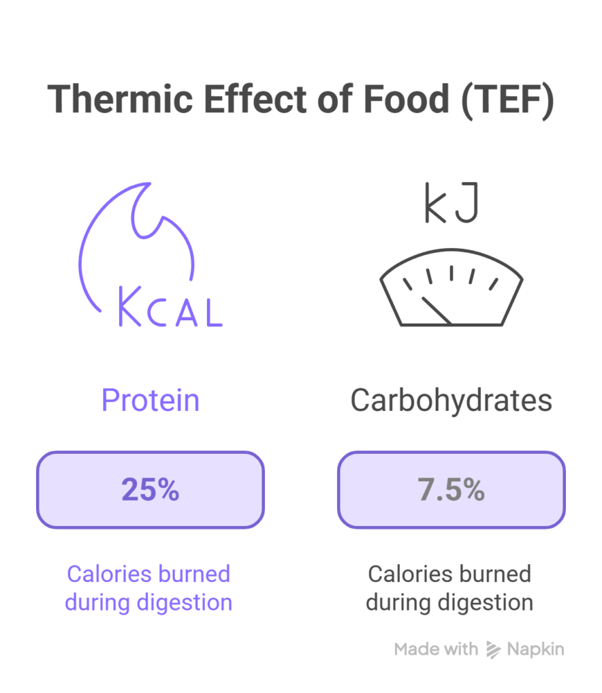 The Thermic Effect of Food