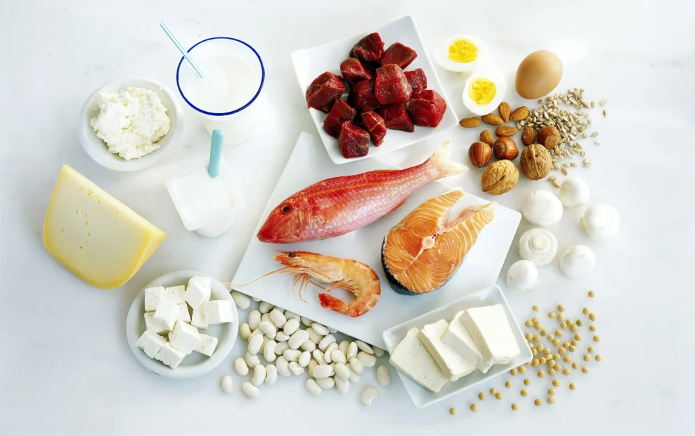 Protein Diet