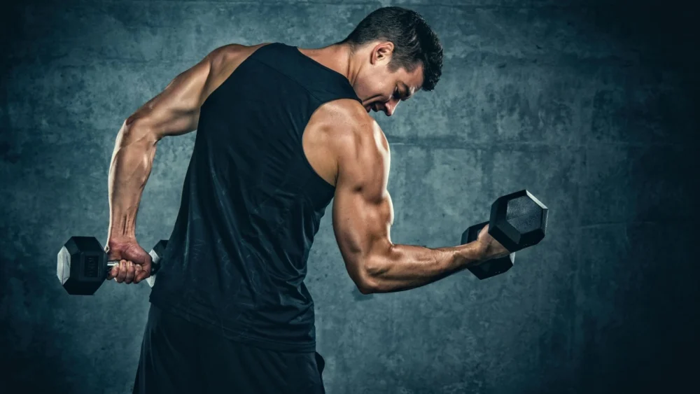 weight loss protein