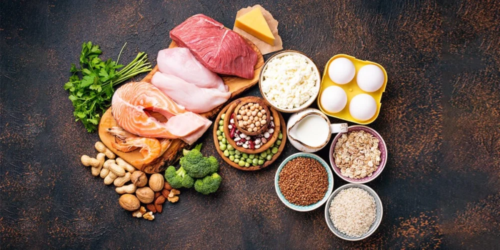 protein foods