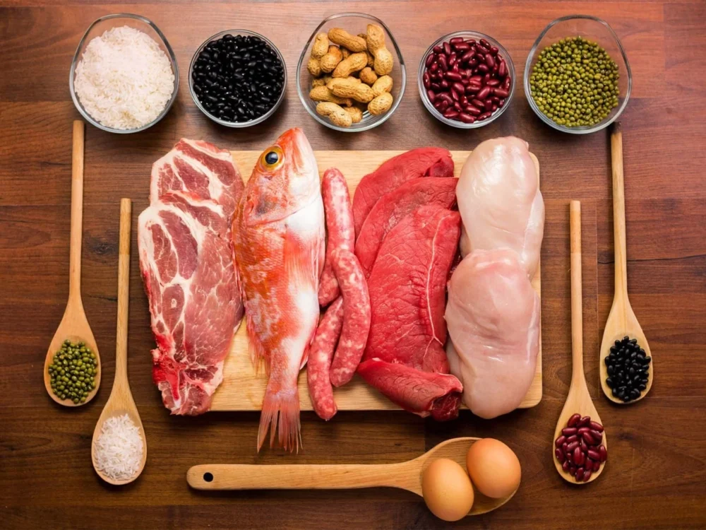 best protein food sources