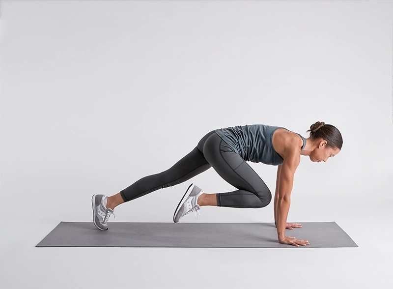 mountain climbers