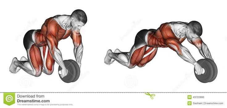 abs rolller