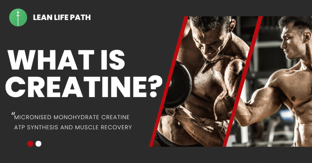 What Is Creatine? The Complete Beginner's Guide to Muscle Gain, ATP and Proven Benefits (2026)